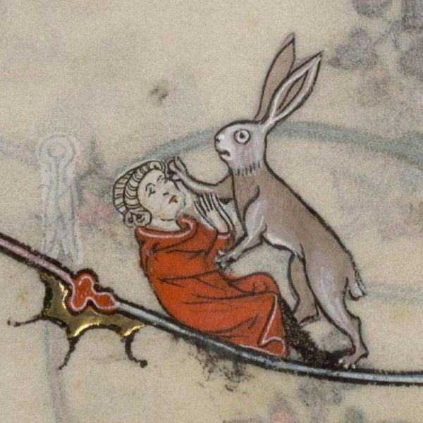 Кролики убийцы средневековье