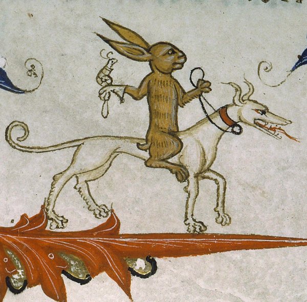 Средневековый Бестиарий заяц