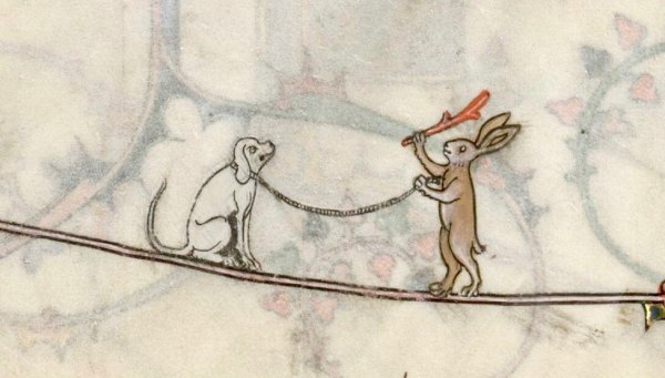 Маргиналия заяц