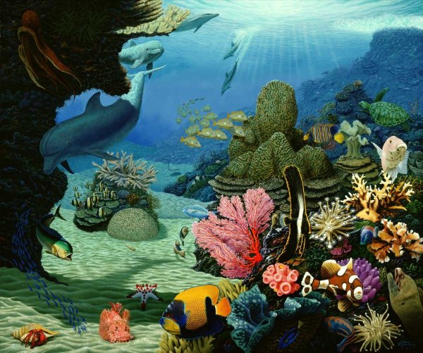 Картина подводный мир
