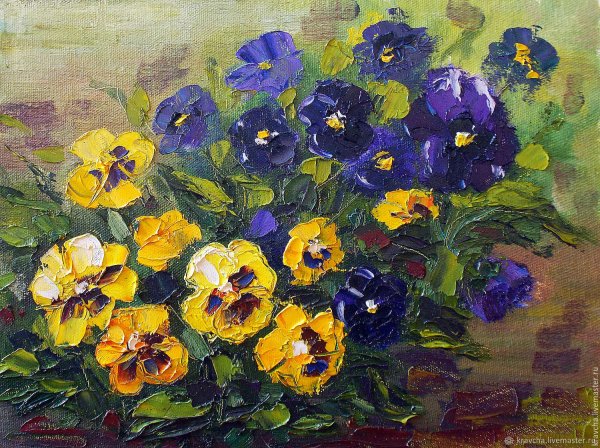 Купецио Анютины глазки