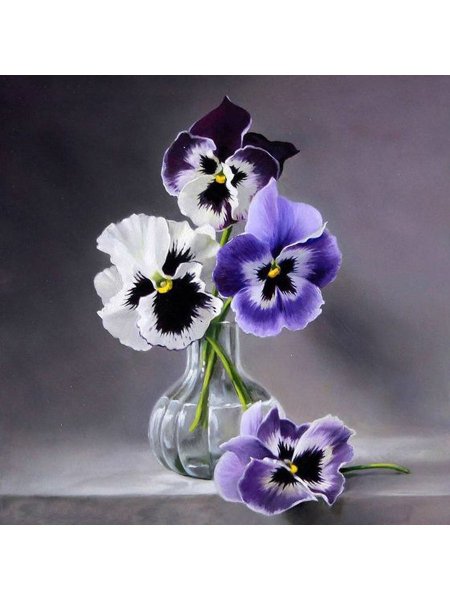 Анютины глазки сухой пастелью