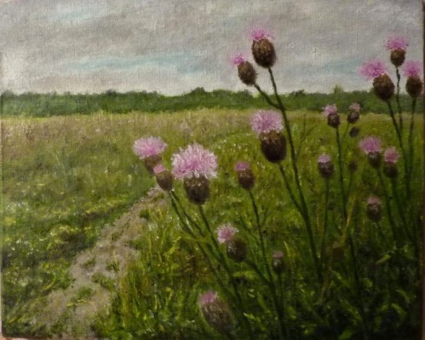 Маковский поле чертополох