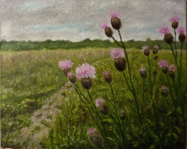 Маковский поле чертополох