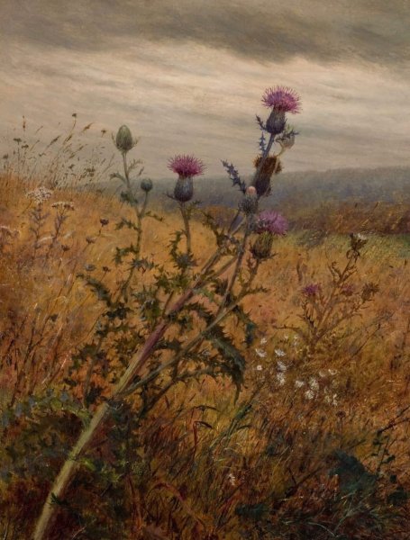 Фиделия Бриджес