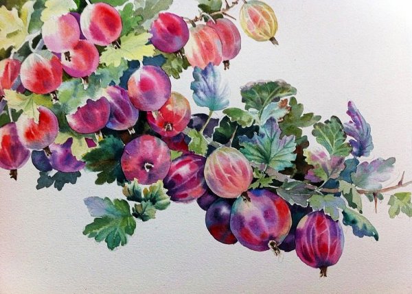 Хазова Татьяна художник