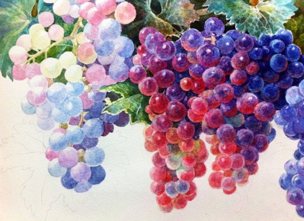 Художник Татьяна Зарецкая цветы