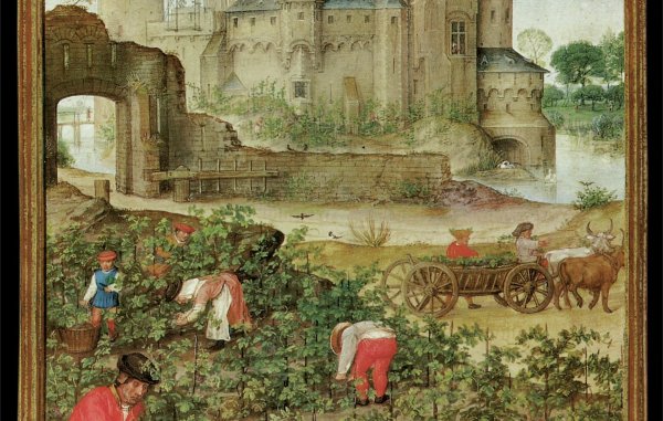 Северное Возрождение дюрель