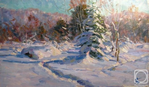 Солнечно. Этюды маслом зима. Борис Студенцов