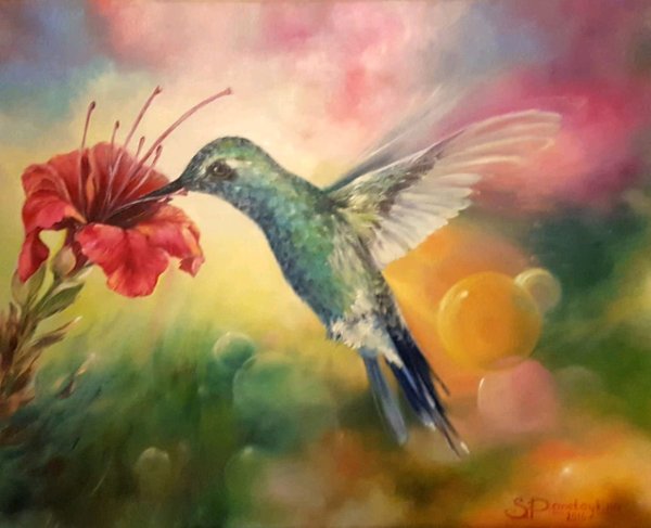 Художник Бруно Тина Августо Колибри