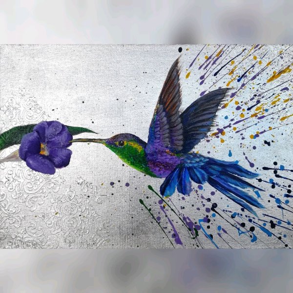 Аманда фаубус Колибри