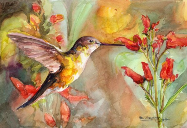 Художник Бруно Тина Августо Колибри