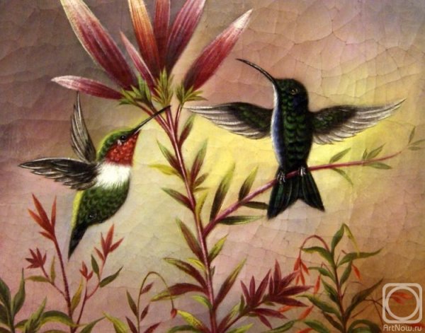Художник Бруно Тина Августо Колибри