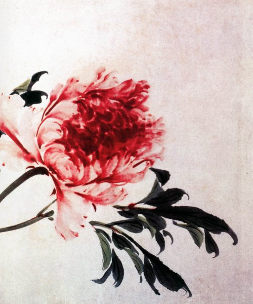 Пионы гохуа