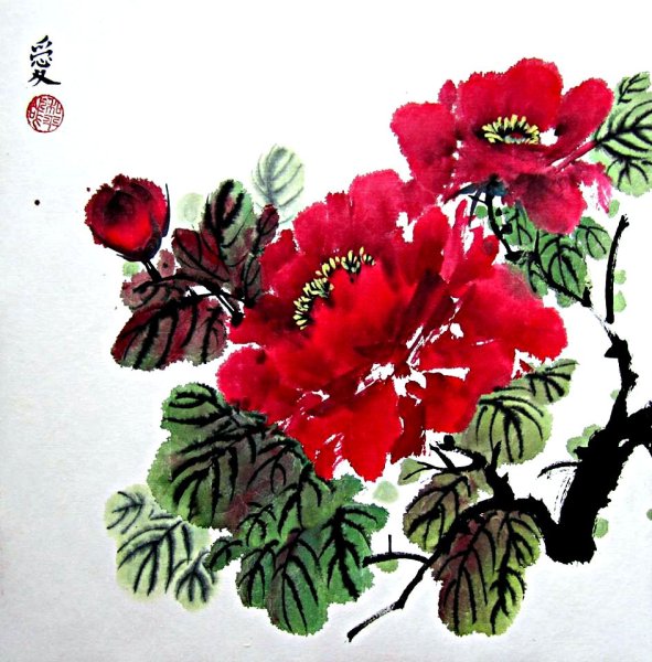 Глициния китайская живопись се-и