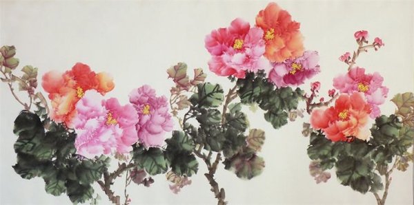 Пионы гохуа