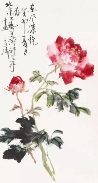 Пионы гохуа