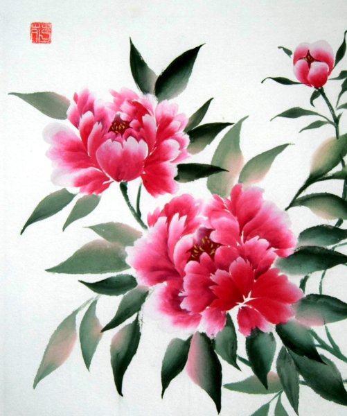 Пион пионы се-и гохуа