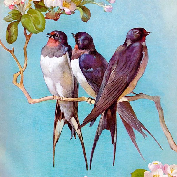 Ласточка живопись