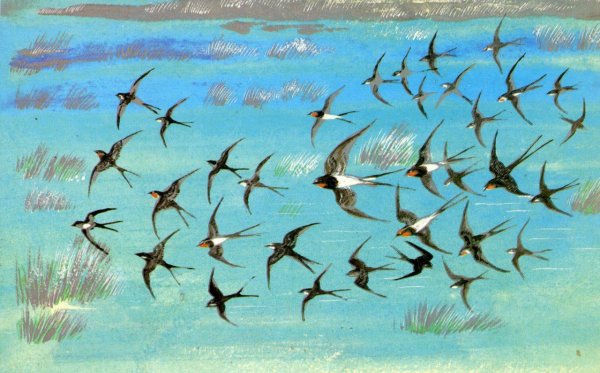 Ласточка картина