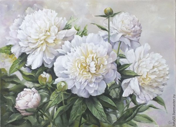 Картина пионы белые Сергея Никифорова