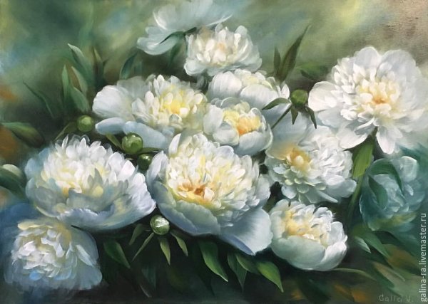 Художник Жученко пионы