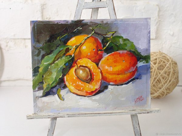 Абрикосы маслом картина