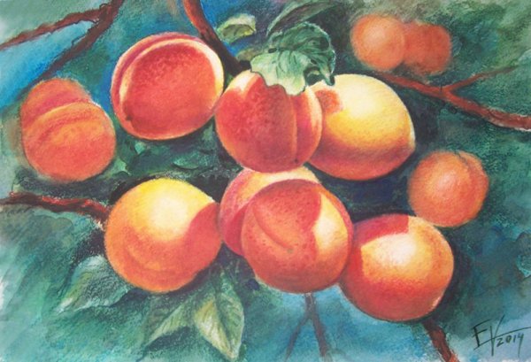 Натюрморты. Художница Триша Хардвик (Trisha Hardwick)