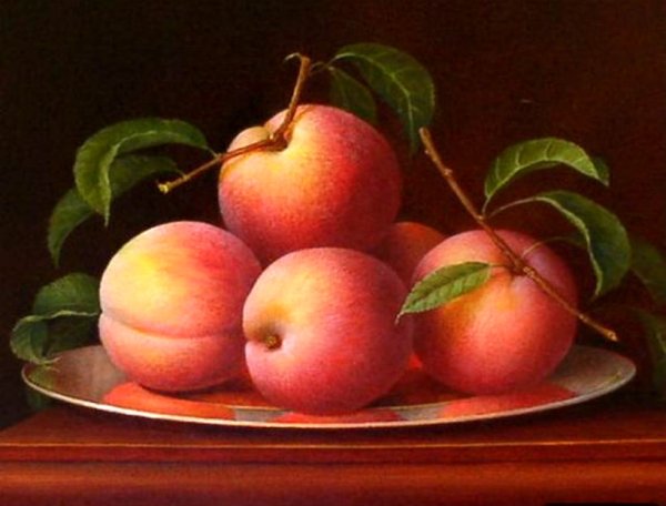 Абрикос картина