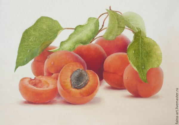 Абрикосы маслом картина