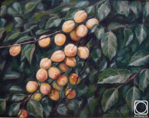 Художница Луиза Муайон