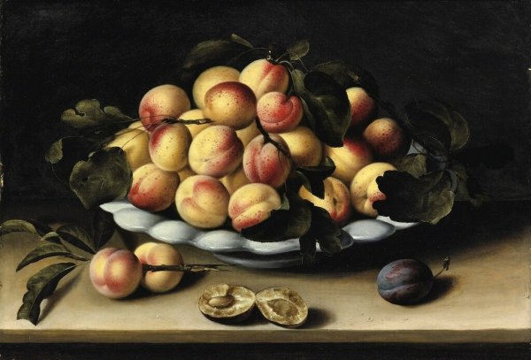 Абрикос картина краски