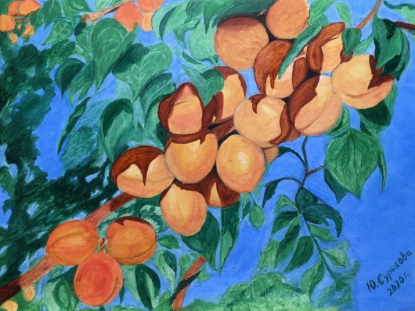 Элоиза Стэннард картины