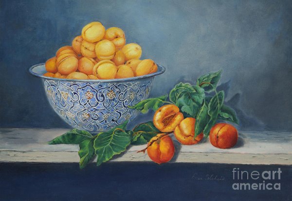 Натюрморт с абрикосами