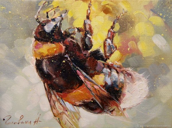 Юлия Боровая художник Шмель