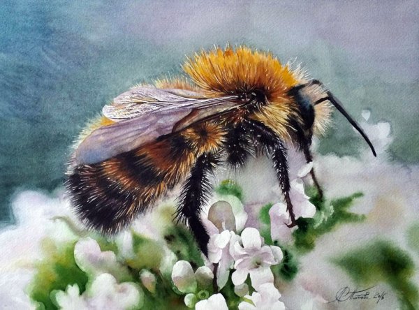 Художник Юлия Боровая пчела