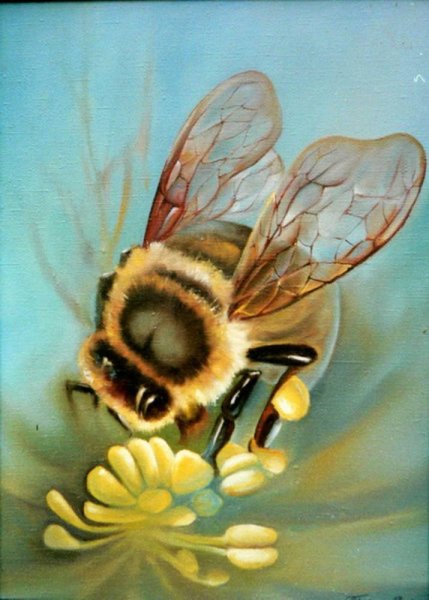 Шмель картина