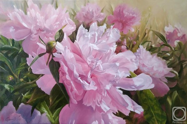 Художник Жученко пионы