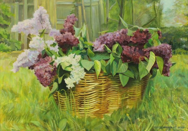 Соколов Александр Иванович (1918 – 1973)