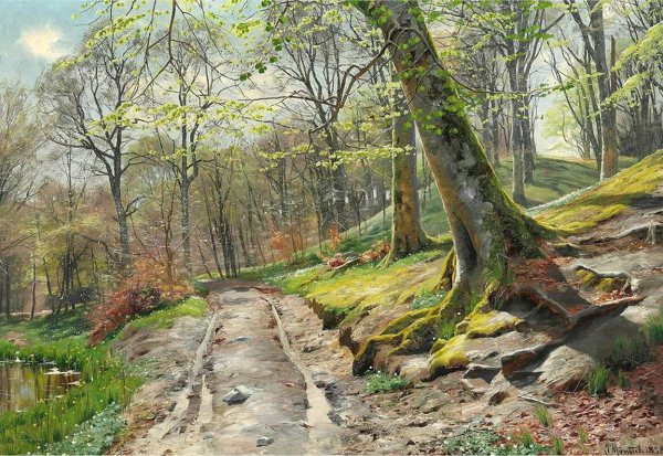 Петер мёрк мёнстед (1859-1941) Дания