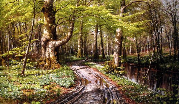 Педер Монстед