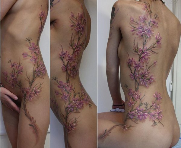 Gladiolus Amicitia аниме