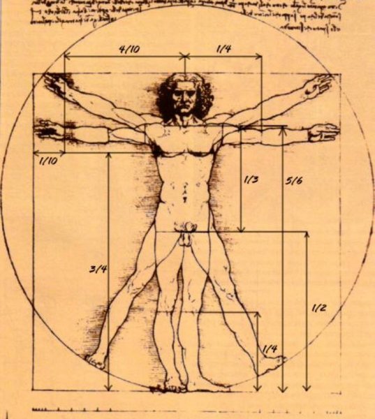 Леонардо да Винчи Мона Лиза золотое сечение