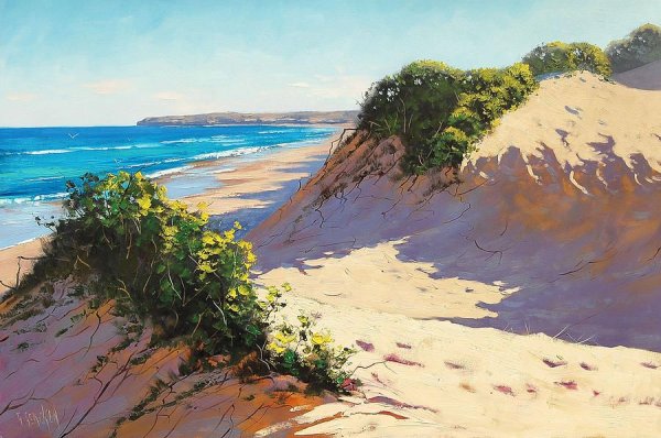 Грэм Геркен картины песок и море.