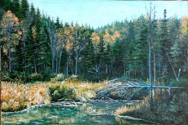 Тайга лес маслом