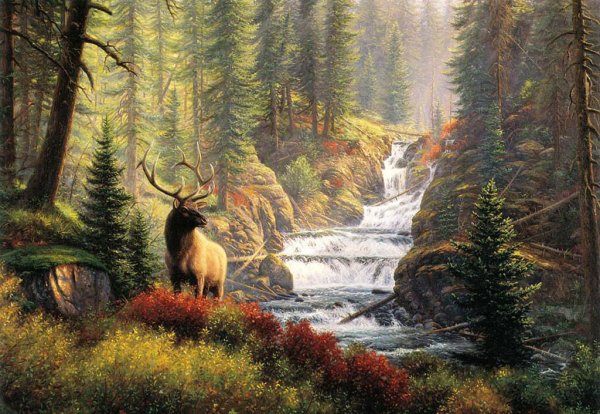 Джексон Хоул художник анималист Лось