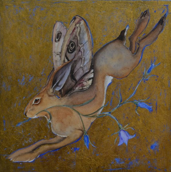 Джеки Моррис (Jackie Morris)