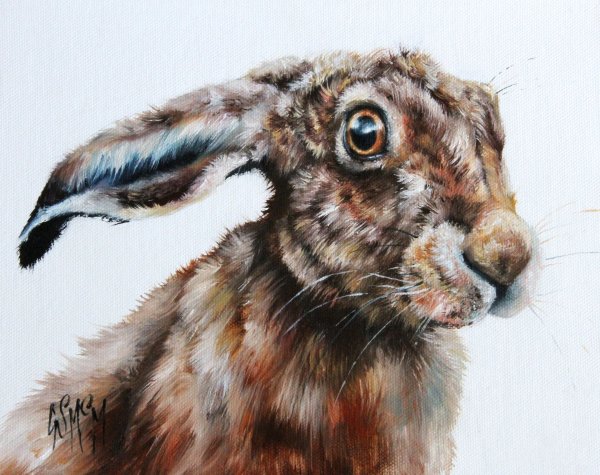 Кролик акварель