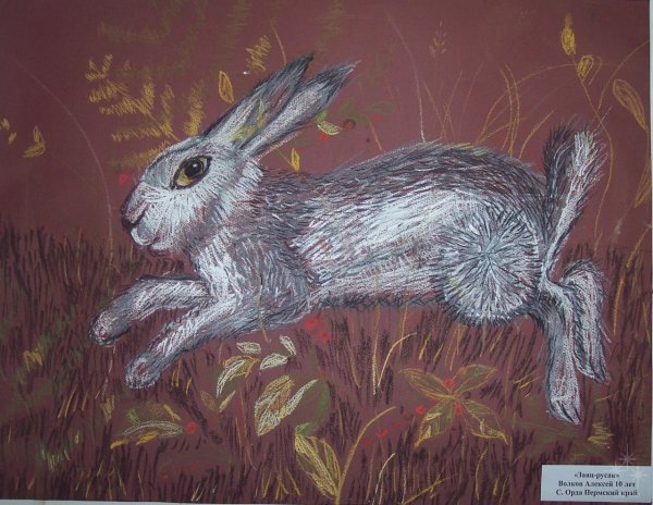 Заяц пастелью