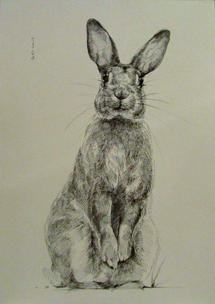 Кролик заяц акварель